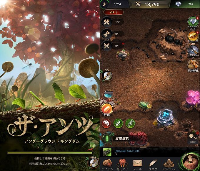 ザ・アンツ:アンダーグラウンドキングダム